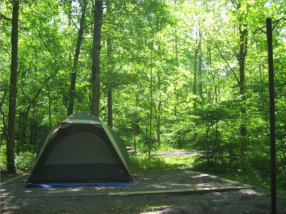 Camping site. Кемпинг Биг кар.