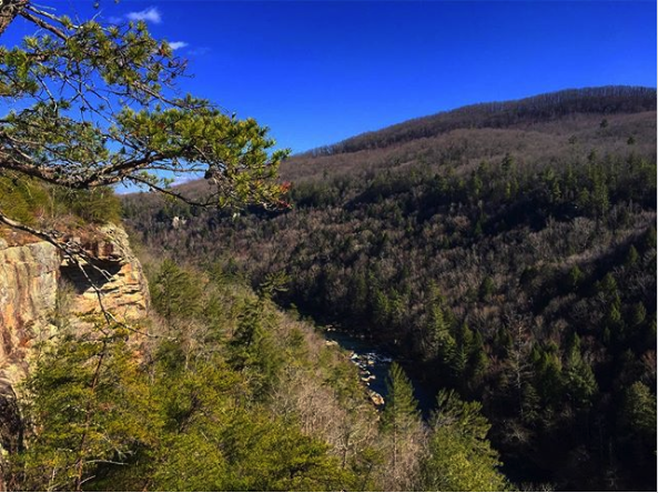 5 of the Best Overlooked Hikes near Knoxville